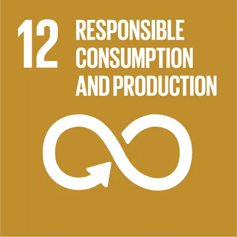 UN Sustainable Development Goal 12 &mdash; Responsible consumption and production