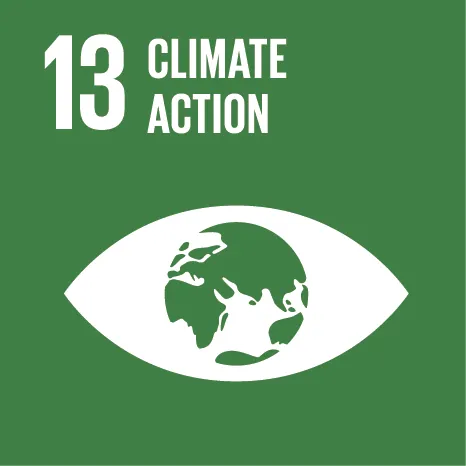 UN Sustainable Development Goal 13 &mdash; Climate action