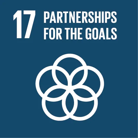 UN Sustainable Development Goal 17 &mdash; Partnerships for the goals