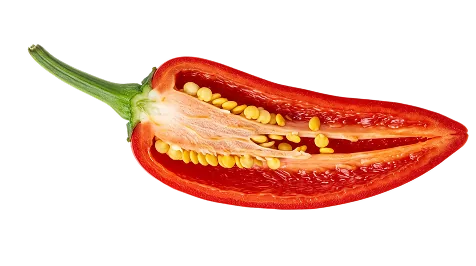 Red chilli, halved